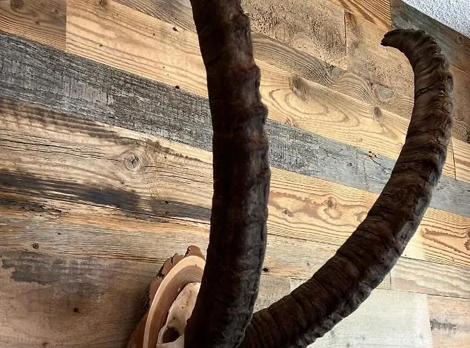 Casa Capricorn Apartman Davos